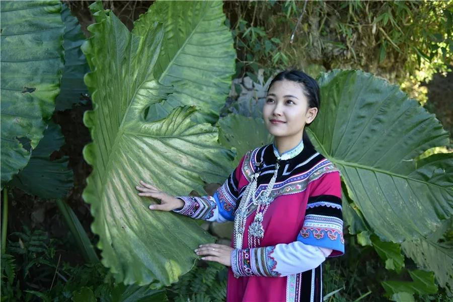 云南紅河民族服飾多彩多樣美如蒼穹彩虹，哈尼族七個(gè)支系就能美醉你的眼睛