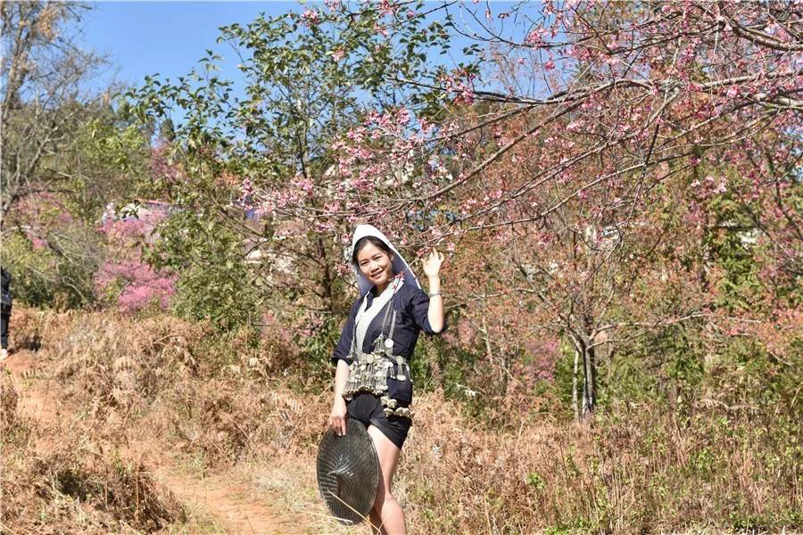 云南紅河民族服飾多彩多樣美如蒼穹彩虹，哈尼族七個(gè)支系就能美醉你的眼睛