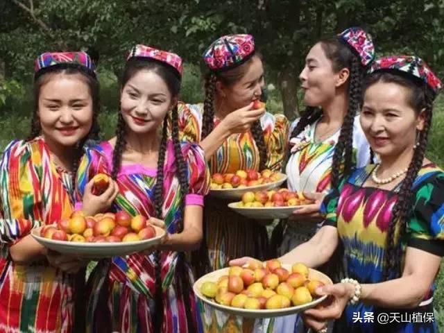 新疆維吾爾族人注重打扮，民族服裝講究，有著突出的民族及宗教特色
